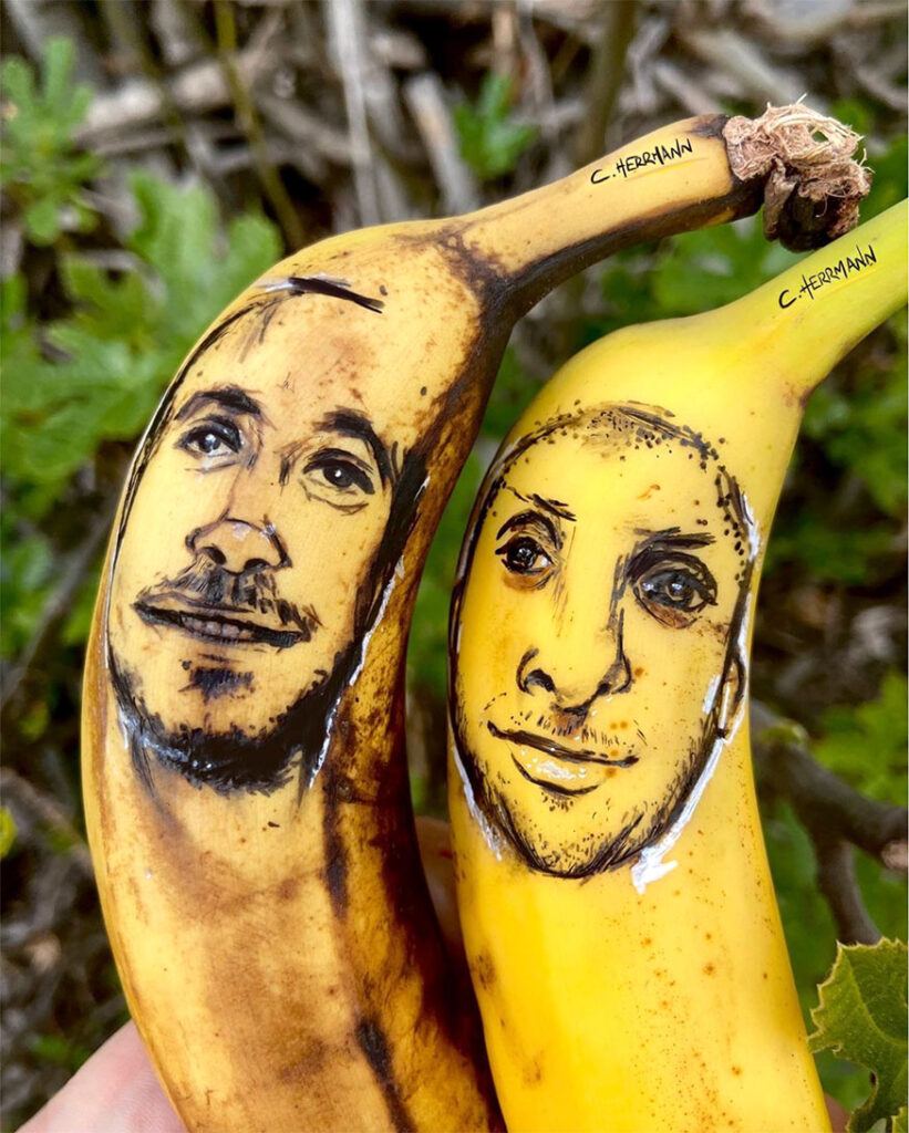 Titre: Bananes Mcfly & Carlito / Dimensions: bananes