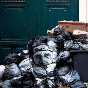Coincé Entre Les Poubelles