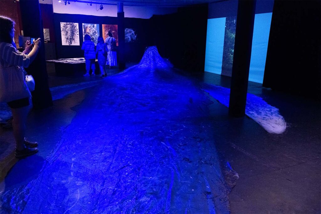 _Empreintes_ (photo David Pedreira) 10