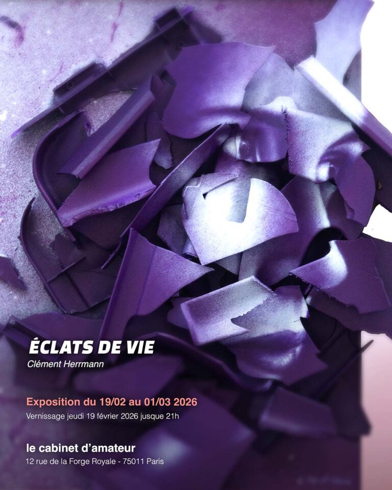 Mon exposition solo « Éclats de Vie » au cabinet d&rsquo;amateur